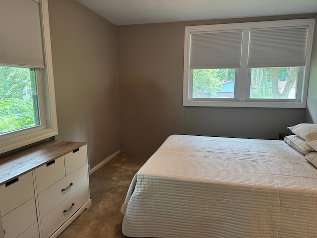429 Sprague Ave, Kalamazoo, MI 49006 - photo 10