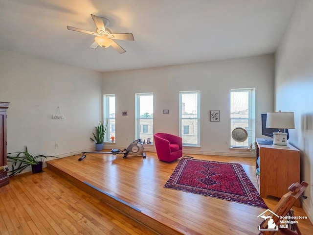 8 E Front St, Monroe, MI 48161 - living room with plenty of natural light, a ceiling fan, and hardwood / wood-style floors