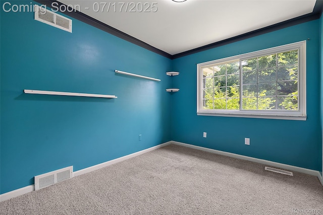 41627 Saal Rd, Sterling Heights, MI 48313 - photo 23