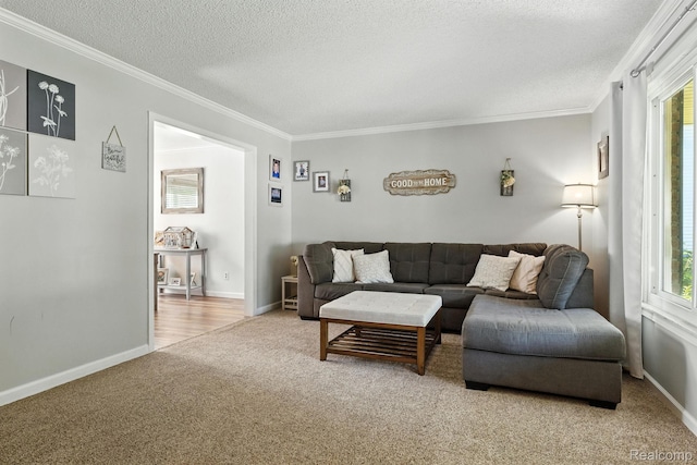 3544 Old Farm Ln, Fort Gratiot, MI 48059 - photo 9