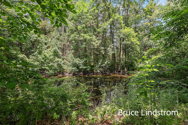 15520 157th Ave, Big Rapids, MI 49307 - view of tree filled area