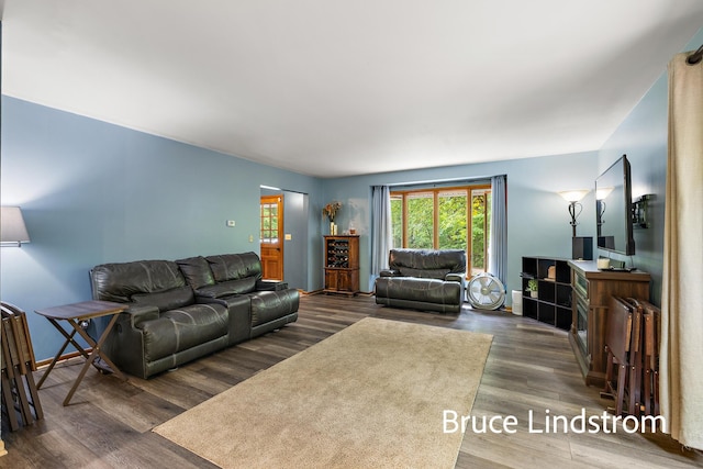 15520 157th Ave, Big Rapids, MI 49307 - living area with wood finished floors