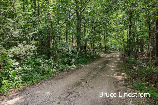 15520 157th Ave, Big Rapids, MI 49307 - view of road featuring a view of trees