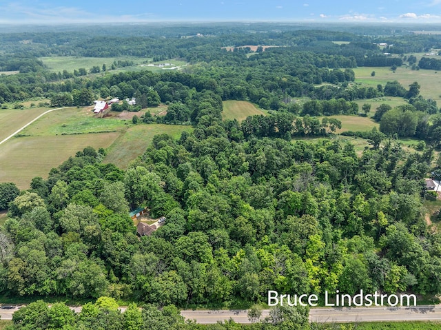 15520 157th Ave, Big Rapids, MI 49307 - drone / aerial view