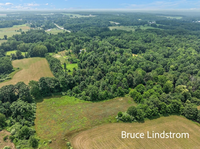 15520 157th Ave, Big Rapids, MI 49307 - bird's eye view