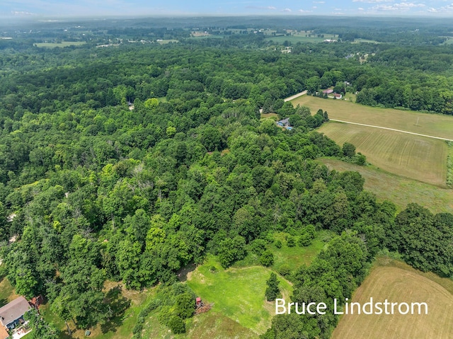 15520 157th Ave, Big Rapids, MI 49307 - view of property location featuring a heavily wooded area and rural landscape