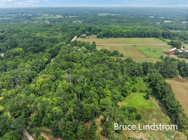 15520 157th Ave, Big Rapids, MI 49307 - overview of rural landscape featuring a forest