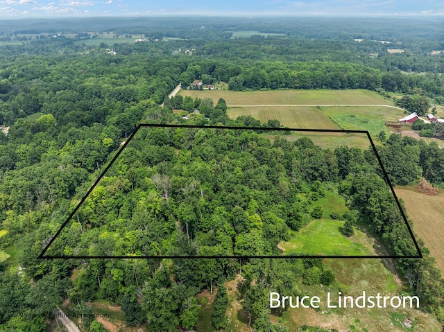 15520 157th Ave, Big Rapids, MI 49307 - aerial view of sparsely populated area with property parcel outlined and a heavily wooded area