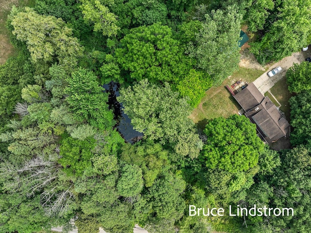 15520 157th Ave, Big Rapids, MI 49307 - drone / aerial view