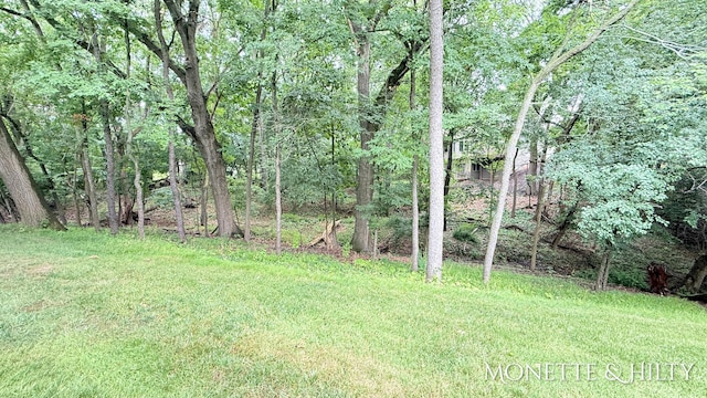 1807 Corville Ct NW, Grand Rapids, MI 49504 - photo 6