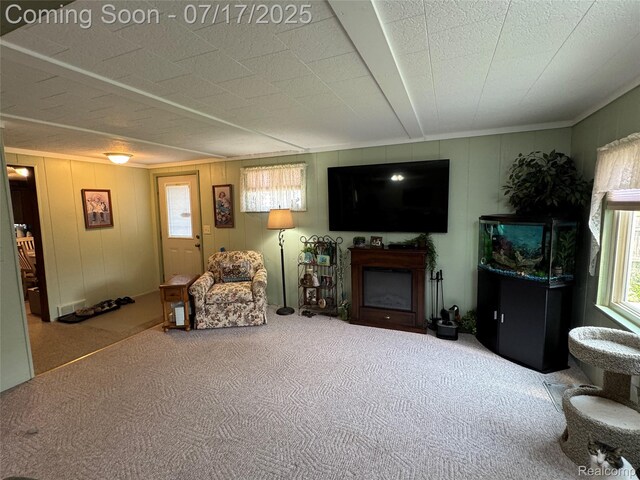 2185 Roslyn Ave, Flint, MI 48532 - living area with healthy amount of natural light, carpet flooring, and a fireplace