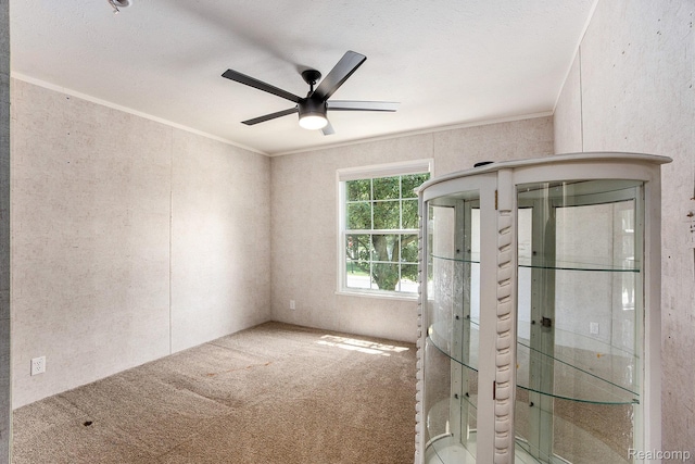116 S St, Oxford, MI 48371 - photo 12