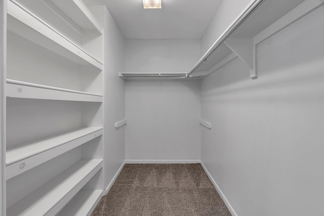 4521 Links Ct Unit 35, Ann Arbor, MI 48108 - photo 31
