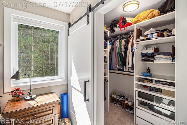 7171 Lucy Dr, Dexter, MI 48130 - spacious closet with a barn door and carpet