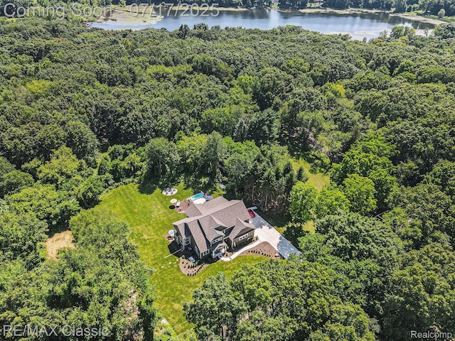 7171 Lucy Dr, Dexter, MI 48130 - view of subject property with a large body of water and a forest