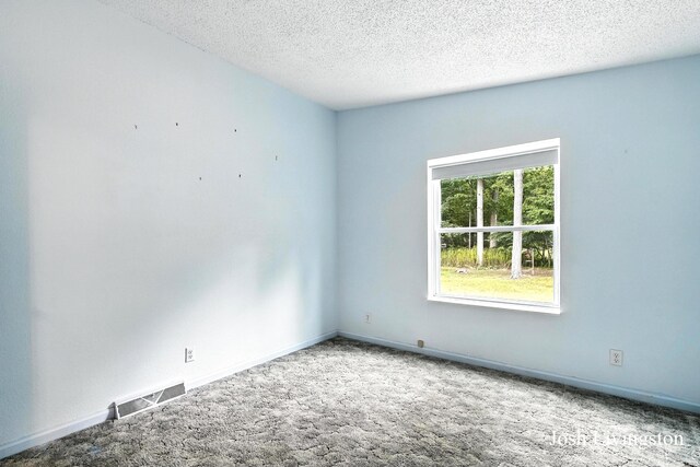 6306 E Carrigan Ct, Newaygo, MI 49337 - photo 23