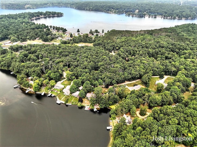 6306 E Carrigan Ct, Newaygo, MI 49337 - photo 34