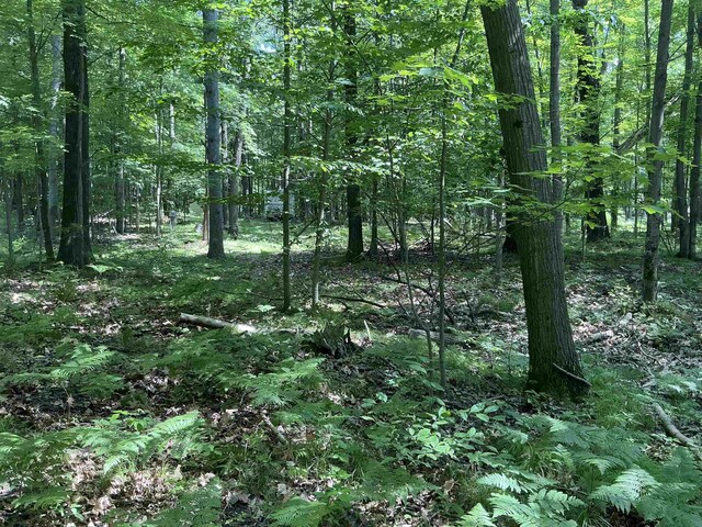 115 W Ridge Cir, Leroy, MI 49655 - photo 3