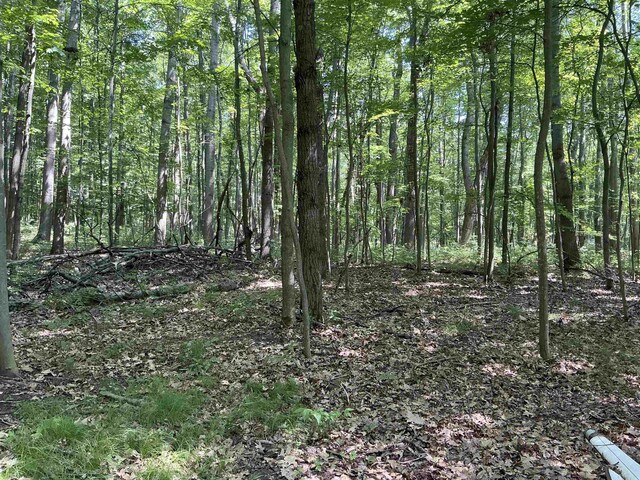 115 W Ridge Cir, Leroy, MI 49655 - photo 6