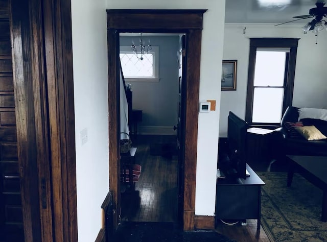 726 College Ave SE, Grand Rapids, MI 49503 - photo 15