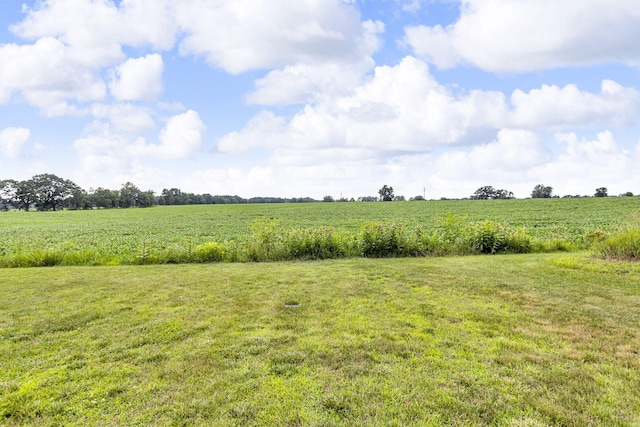 1604 Wolf Lake Rd, Grass Lake, MI 49240 - photo 45