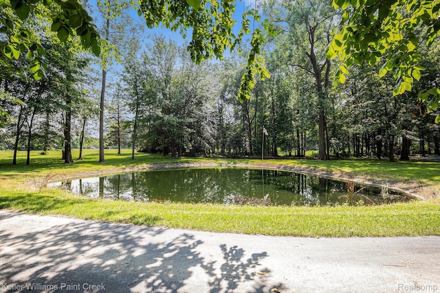 6365 Hayfield Ln, Almont, MI 48003 - photo 28