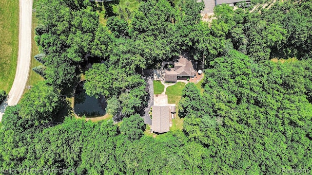 6365 Hayfield Ln, Almont, MI 48003 - photo 29