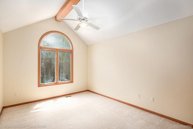 6365 Hayfield Ln, Almont, MI 48003 - photo 13