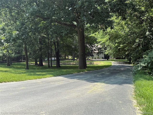 6365 Hayfield Ln, Almont, MI 48003 - photo 47