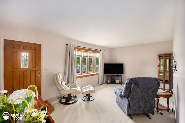8208 E Potter Rd, Davison, MI 48423 - living room with carpet