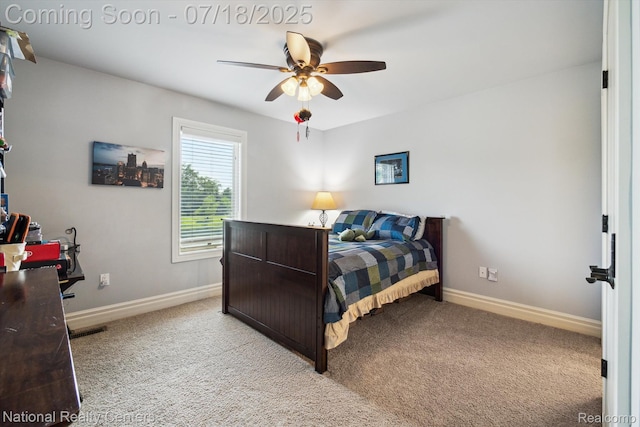 18678 Marble Head Dr, Northville, MI 48168 - photo 33