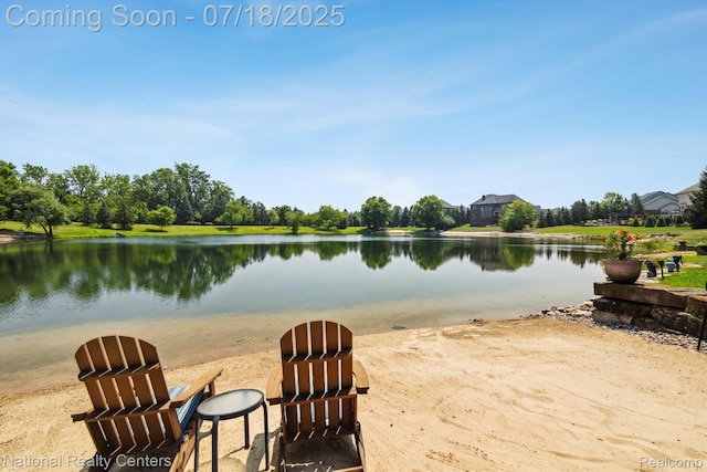 18678 Marble Head Dr, Northville, MI 48168 - photo 59