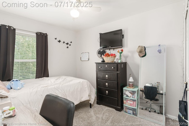 32141 Channing St, New Haven, MI 48048 - photo 56