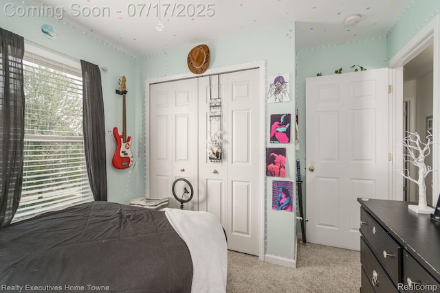 32141 Channing St, New Haven, MI 48048 - photo 55