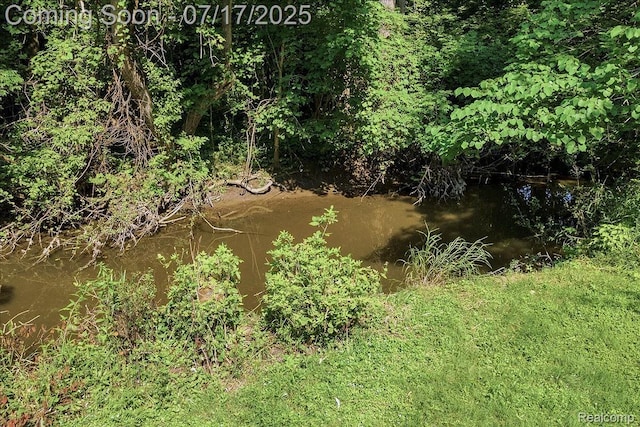 32981 Biddestone Ln, Farmington Hills, MI 48334 - photo 50