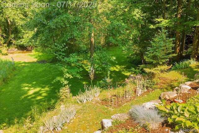 32981 Biddestone Ln, Farmington Hills, MI 48334 - photo 61