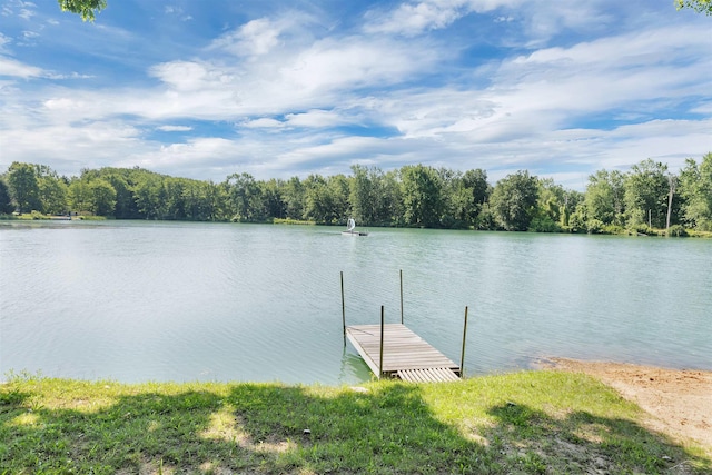 12385 Baumgartner Rd, Saint Charles, MI 48655 - photo 37
