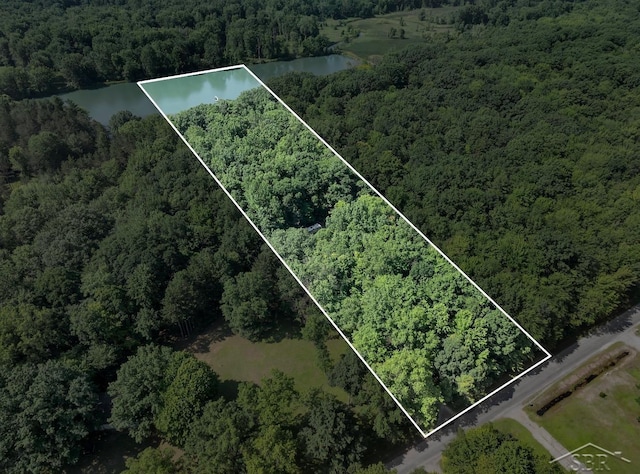 12385 Baumgartner Rd, Saint Charles, MI 48655 - photo 50