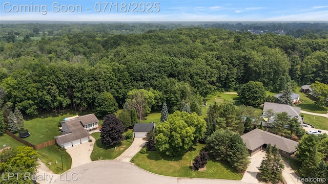 2381 Solarwood Dr, Davison, MI 48423 - photo 48