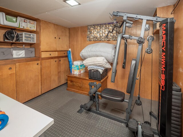 3130 27th St SW, Grandville, MI 49418 - workout area with carpet floors and wooden walls