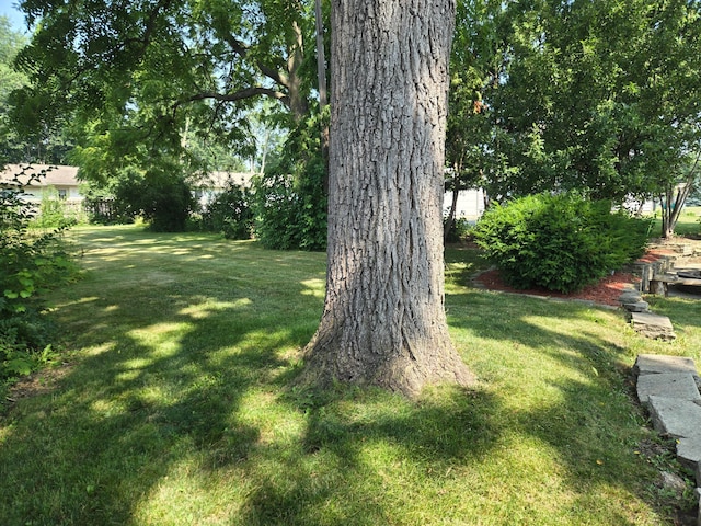 1115 W Maumee St, Adrian, MI 49221 - view of grassy yard