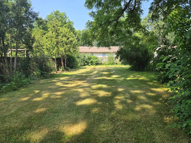 1115 W Maumee St, Adrian, MI 49221 - view of yard