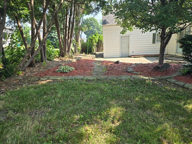 1115 W Maumee St, Adrian, MI 49221 - view of yard