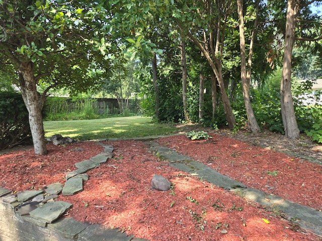 1115 W Maumee St, Adrian, MI 49221 - view of yard
