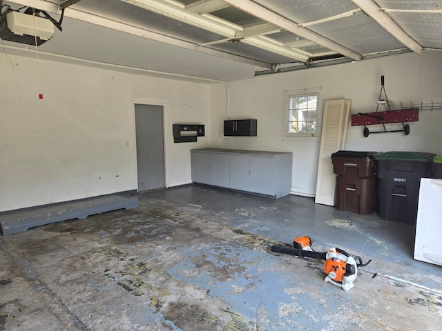 1115 W Maumee St, Adrian, MI 49221 - garage with a garage door opener