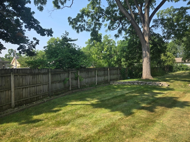 1115 W Maumee St, Adrian, MI 49221 - view of yard