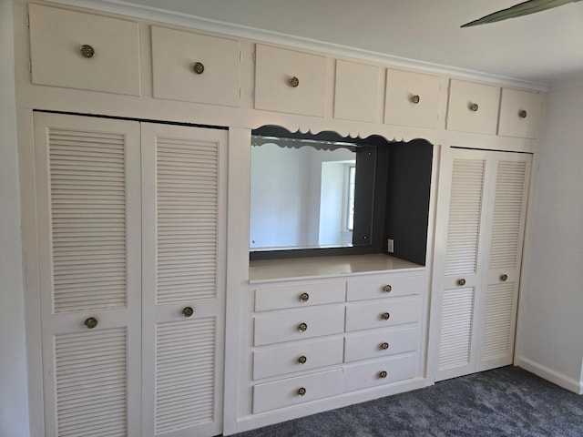 1115 W Maumee St, Adrian, MI 49221 - view of closet