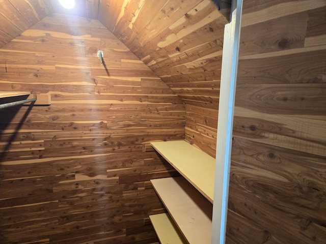 1115 W Maumee St, Adrian, MI 49221 - walk in closet with lofted ceiling