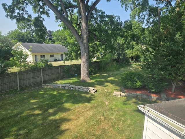 1115 W Maumee St, Adrian, MI 49221 - view of yard