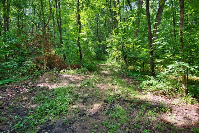 23627 Glenwood Rd, Cassopolis, MI 49031 - view of woods
